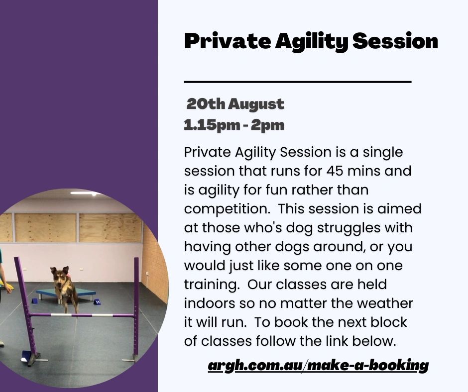 Private Agility Single Session 20 Aug 2023